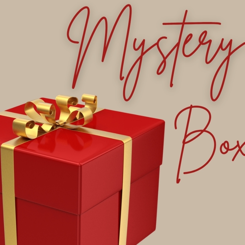 ✨ Women’s Mystery Clothing Box – Size L/XL ✨ Fall/Winter Edition